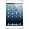 Apple iPad mini 16Gb Wi-Fi + Cellular белый - Сатка